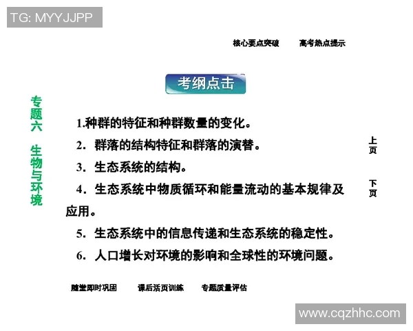 武汉飞盘队中路突破分析:优劣势及战术调整探讨